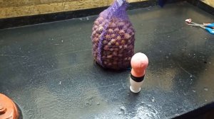 Приспособление для колки орехов в домашних условиях  Простой и эффективный орехокол своими руками