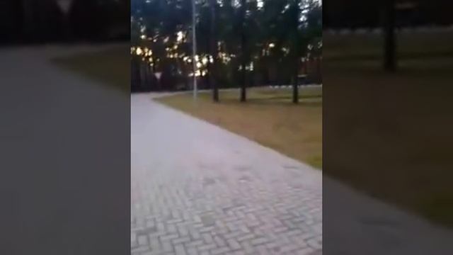 M1nsk D4 125 Краткий Обзор смотреть онлайн