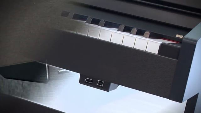 Roland RP 301R - Piano Digital смотреть онлайн