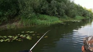 Сплавная рыбалка по реке Сейм.Попали на клёв щуки и окуня.Рыбалка в новых местах!