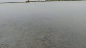 Это не просто рыбалка- это реально кайф