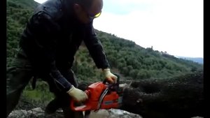 Бензопила Husqvarna 359