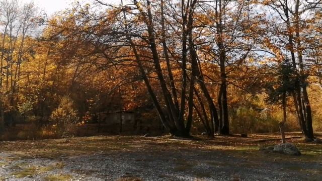 Autumn in Kavadarci / Esen vo Kavadarci, Macedonia / Makedonija смотреть онлайн