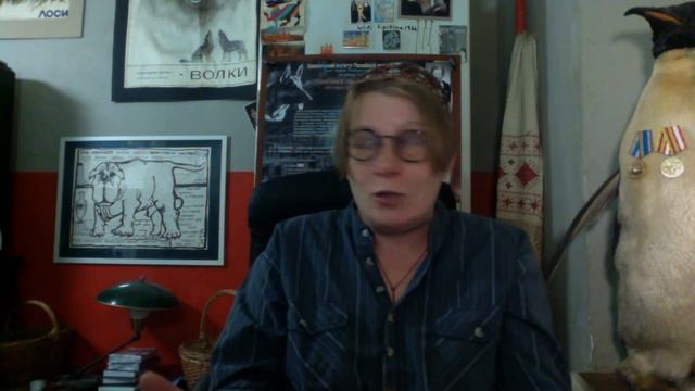 Елена Типикина. "Гром гремит, собаки воют"  Первый выпуск видеоразговоров.