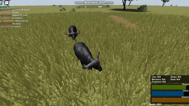 wild savannah roblox смотреть онлайн