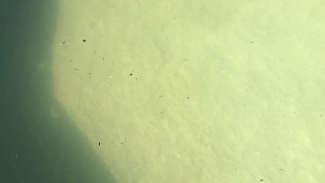 Очистка БАССЕЙНА перекисью водорода ЧАСТЬ 1 смотреть онлайн