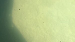 Очистка БАССЕЙНА перекисью водорода ЧАСТЬ 1