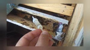 Кормушка для пчёл.Как сделать кормушку в домашних условиях