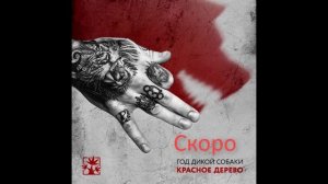 Красное Дерево — 911