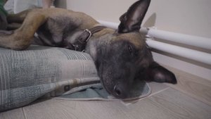 Аквариум со встроенным сампом своими руками.  Пошаговая инструкция