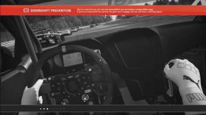 НАСТРОЙКИ УПРАВЛЕНИЯ В ИГРЕ RACEROOM RACING EXPERIENCE НА РУЛЕ THRUSTMASTER T300 RS