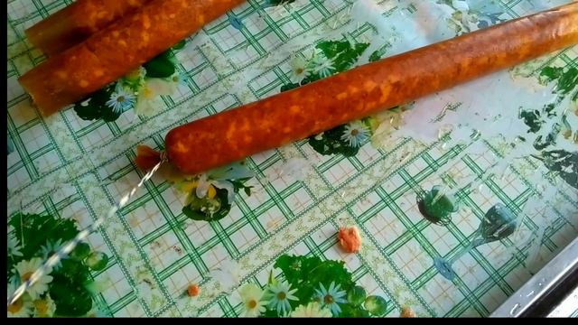 Как сделать сырокопченую колбасу? Домашняя сырокопченая колбаса из свинины. Часть 1