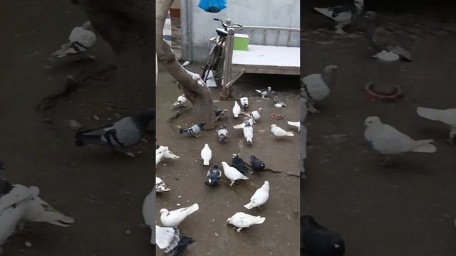 19 февраля 2024 г. смотреть онлайн