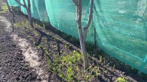 21 марта 2022 года