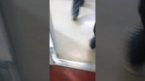 моя школа, моя сумасшедшая школа.