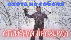 ОХОТА НА СОБОЛЯ. Серия № 12. Проверяю путики #на соболя