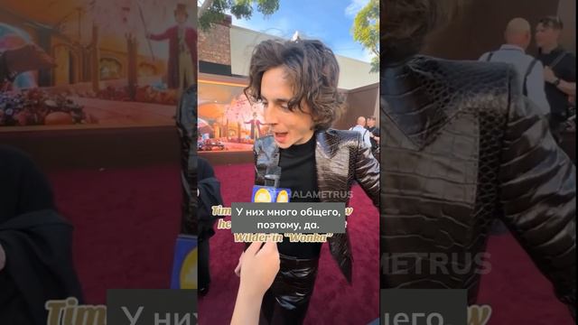 Чудесная дорожка в ЛА, часть 2 🥰#wonka #вонка #timotheechalamet #la #тимотишаламе #кино