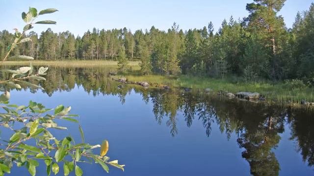 Северная Карелия 2009 г.