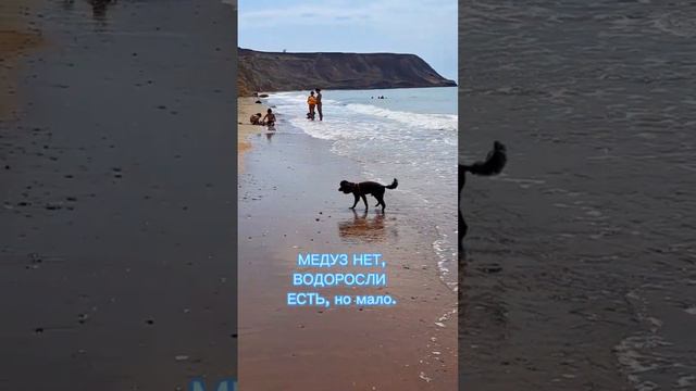 Пляж посёлка Волна. Температура Чёрного моря. #краснодарскийкрай #отдыхнаморе