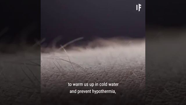 What if we could breathe underwater? смотреть онлайн