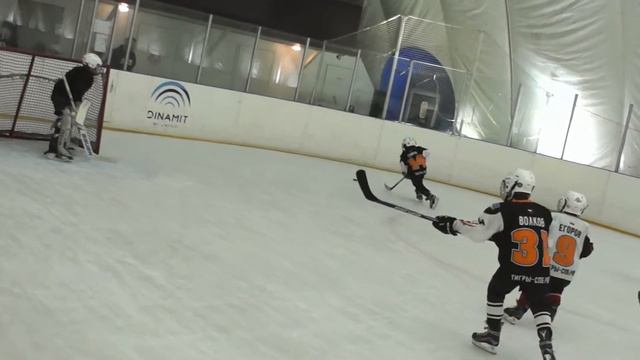 Тигры - Заневский молот backstage матча смотреть онлайн