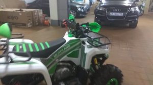 Детский квадроцикл Motoland Raptor 125 NEW 2019г за 70 990 руб в Мото-Актив