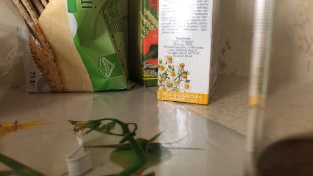 Сонет 18 -А.В.Ходаковскому( черновик) смотреть онлайн