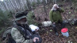 Сапоги, собака, тайга #2