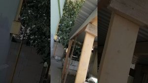 Строим вальер для собаки