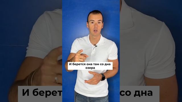 В ЭТОМ озере ВООБЩЕ никто не живет!