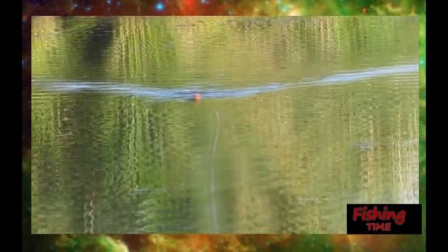 Ловля щуки летом в зарослях***Рыбалка на щуку/ fishing for pike / смотреть онлайн