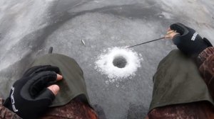 Экстремальная зимняя рыбалка на окуня. ( Ладожское озеро. Шальдиха.)