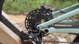 2022 Specialized Status 160 | Bike Check