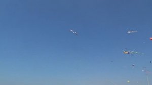 Индия ГОА пляж Колва (Colva Beach), шейк Sucorina