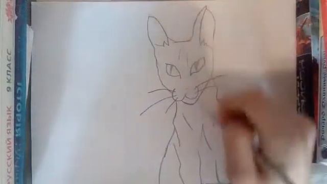 Как нарисовать кошку - Сфинкс смотреть онлайн