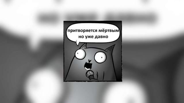 Спалился