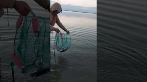 рыбалка на озере Аткуль карасики.