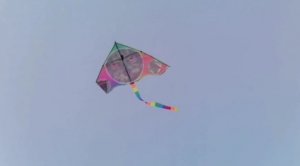 Как запустить воздушного змея. Запускаем воздушный змей. Канал Тутси Влог.