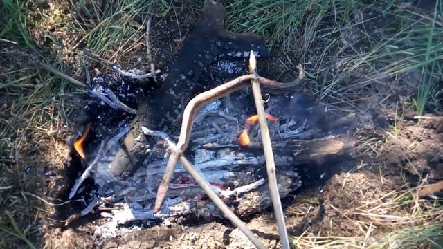 Рецепт приготовления змеи (гадюки) на природе!!! смотреть онлайн