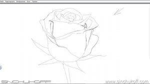 Рисуем поэтапно ЦВЕТЫ