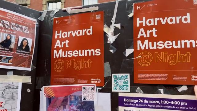 влог из Гарварда | один вечер из моей жизни | год в америке • Lil frog in the USA смотреть онлайн