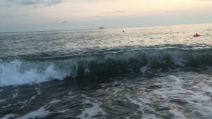 Черное море, Лоо