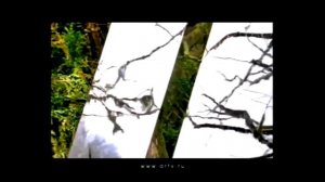 Зеркальные Заставки ОРТ 2000-2003