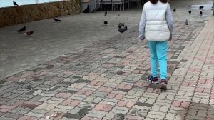 Поездка Саратов - Лазаревское через Волгоград и Ростов на автомобиле