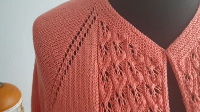 Кардиган  спицами , пряжа Alize Diva silky effect 26 февраля 2021 г. смотреть онлайн