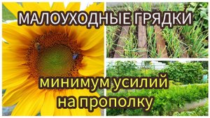 ИДЕЯ МАЛОУХОДНЫХ ГРЯДОК - минимум сорняков