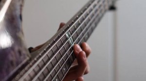 Metallica - My Friend Of Misery | Bass Cover