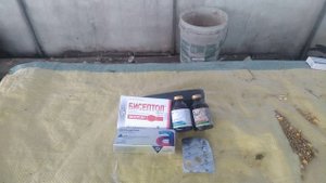 Понос у кур несушек - симптомы и лечение.