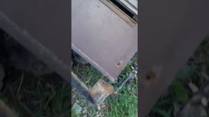 Курганский прицеп отзыв