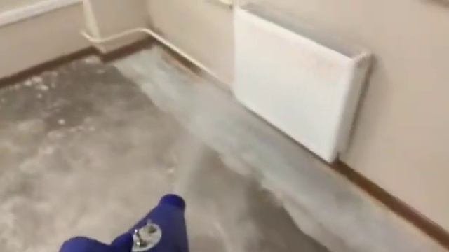 Уничтожение плесени. Обработка от плесени  и грибка